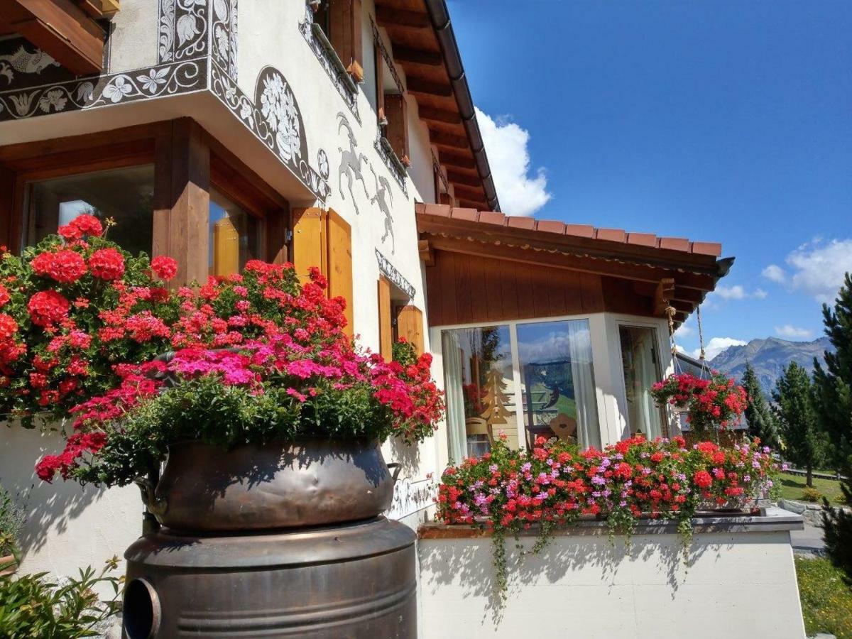 Chesa Sper L'Ovel Brail Apartment Zernez Exterior foto